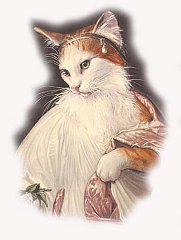 Copia di Catz 7